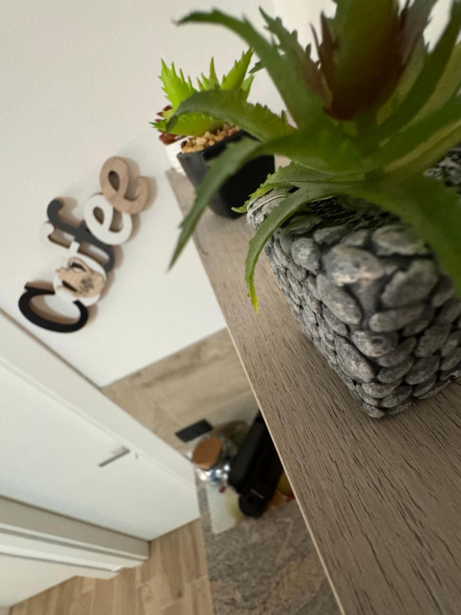 Mc Rooms Torretta  المظهر الخارجي الصورة